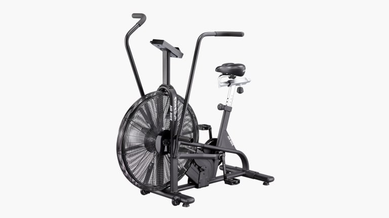 assault airbike rogue